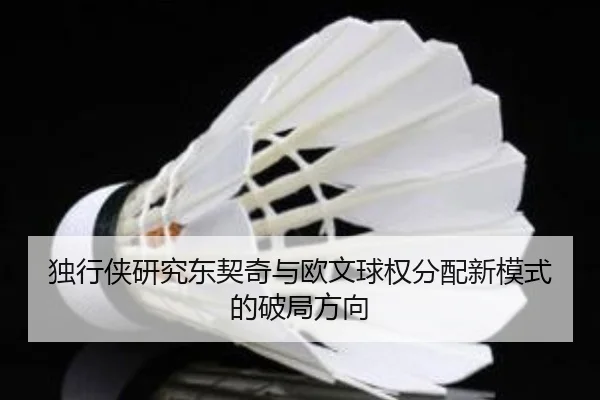 独行侠研究东契奇与欧文球权分配新模式的破局方向 | kaiyun