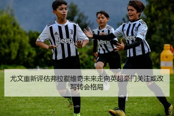 尤文重新评估弗拉霍维奇未来走向英超豪门关注或改写转会格局 | kaiyun